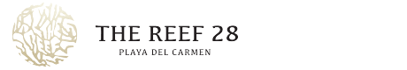 The Reef 28 Resort – Playa Del Carmen – Reef 28 Adults Only All Inclusive Resort